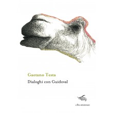 dialoghi con guidoval | Gaetano Testa